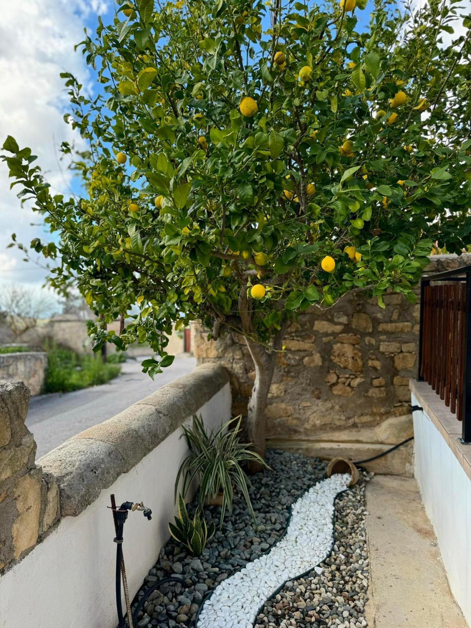 Mariarodes House Villa Pano Arodes Dış mekan fotoğraf